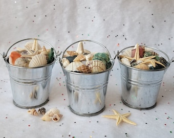 Bucket of Shells Decor, Cute Coastal Ornament or Knick Knack, Ocean Decor for Home