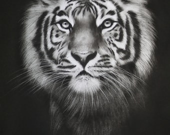 Animal Portrait Custom Charcoal | Pet Loss Gift | tiger portrait charcoal | custom pet memorial | drawing from photo