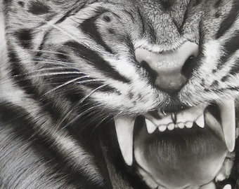 Animal Portrait Custom Charcoal | Pet Loss Gift | Tiger portrait charcoal | custom pet memorial | drawing from photo