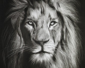 Animal Portrait Custom Charcoal | Pet Loss Gift | lion portrait charcoal | custom pet memorial | drawing from photo