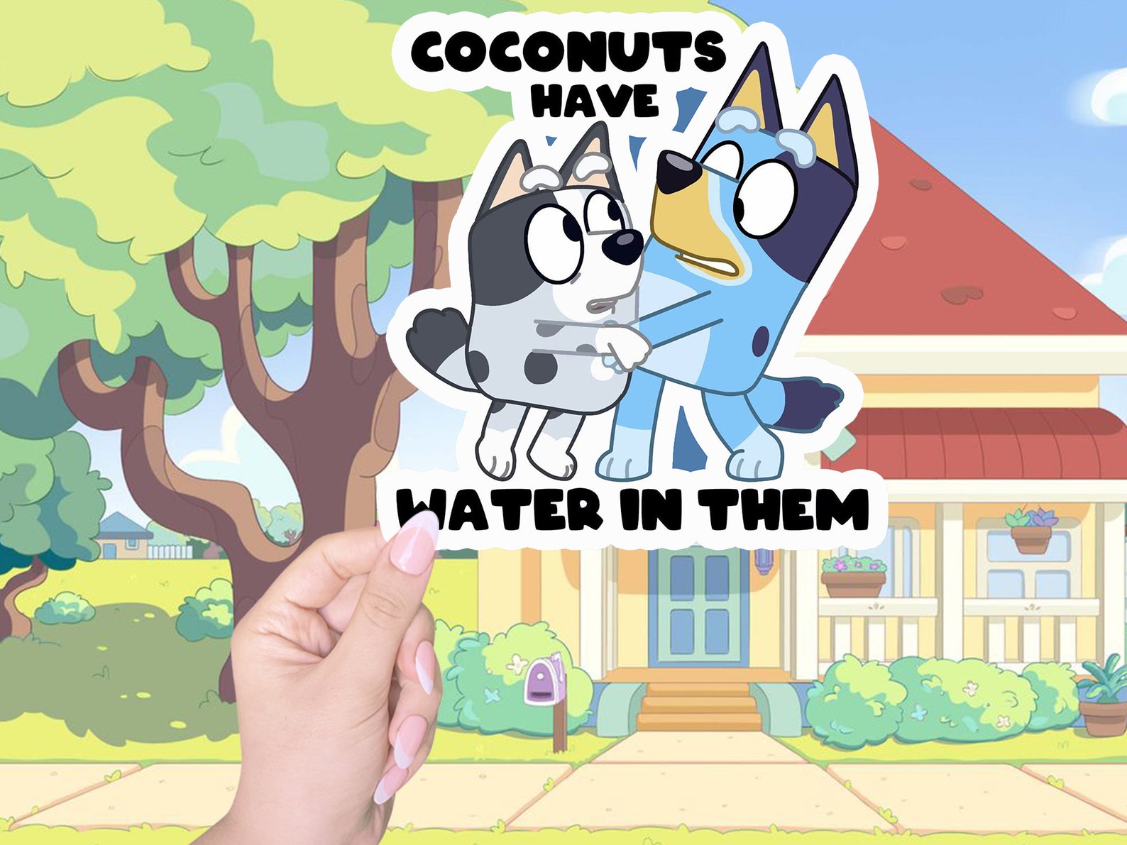 Coconut Has Water in Them Sticker Bluey Stickers Etsy