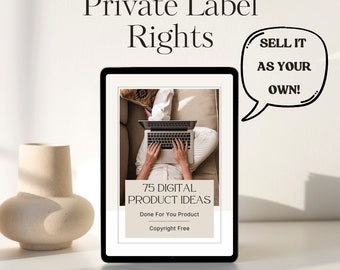 Private Label Rights, 75 Digital Product Ideas, Master Resell Rights, MMR, PLR, Canva Template,  Ebook PDF, Make Money Online
