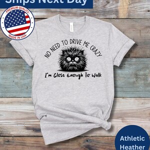 FUNNY CRAZY Summer Cat SHIRT – Unisex Drive Me Crazy Tee Shirt, Funny Gift For Mom Or Dad
