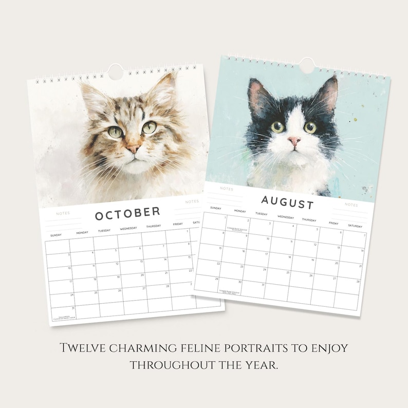 two calendar pages with cat illustrations for the months of October and August. The calendar page on the left has a cat illustration for each day of the month, while the calendar page on the right has a cat illustration for each day of the month, but the days are not labeled. The text below the image reads "Twelve charming feline portraits to enjoy throughout the year."