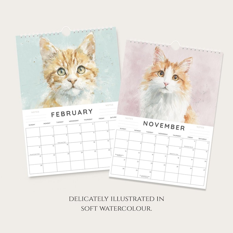 two calendar pages, each with a watercolor illustration of a cat. The cats are depicted in different colors - one is orange and white, and the other is white and orange. The calendar pages are titled "FEBRUARY" and "NOVEMBER", respectively, and are set against a light background. The text at the bottom of the image reads "DELICIOUSLY ILLUSTRATED IN SOFT WATERCOLOUR."