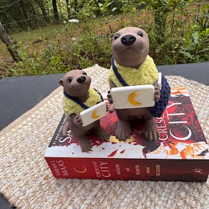 Crescent City Otter, crescent city Lehabah bookshelf decor, officially licensed