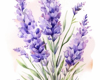 Puede incluir: Una pintura de acuarela de un ramo de flores de lavanda con tallos y hojas verdes. Las flores son moradas y tienen un aspecto suave y delicado. El fondo es de color melocotón claro.
