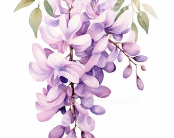 Wisteria Floral Watercolor Illustration Art Prints (Digital Download)