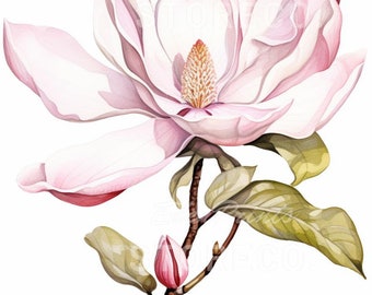 May include: A single pink magnolia flower with a bud on a branch with green leaves. The flower is in full bloom and has a delicate, feminine appearance.