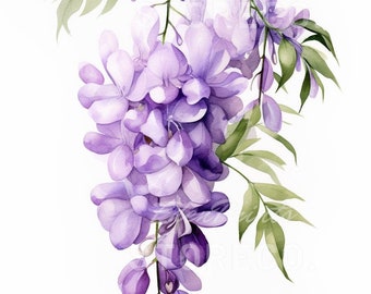 4セット「藤の花」花、植物、イラストアート、プリント、カード
