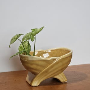 May include: A small, tan ceramic planter with a unique, curved design. The planter has three legs and holds a small plant with green and white leaves. The planter is on a wooden surface.