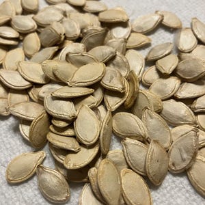 Seeds