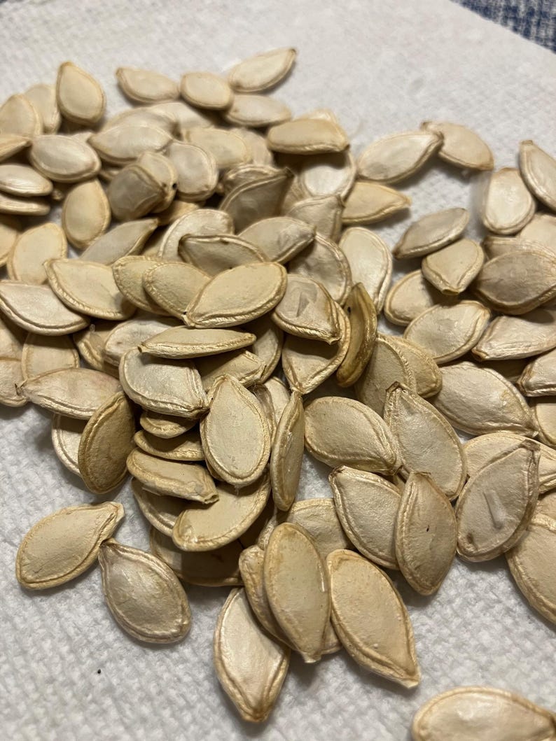 Seeds