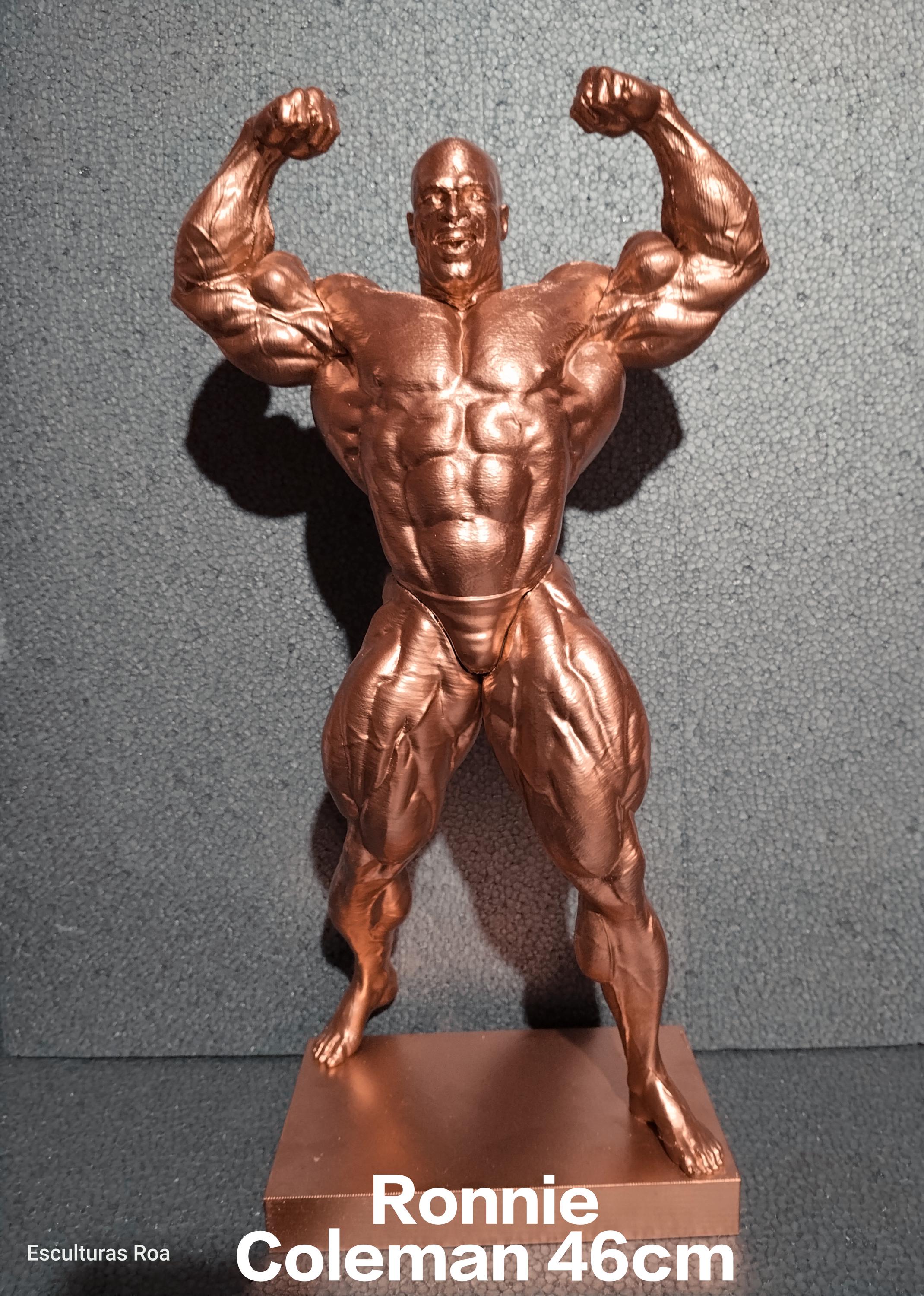 Mr olympia trophy - Etsy 日本