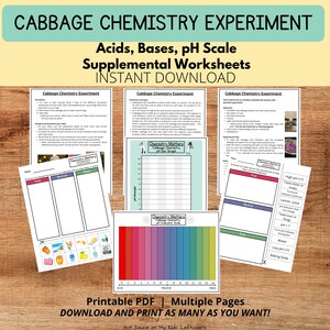 Puede incluir: Hojas de trabajo imprimibles para un experimento científico que utiliza col roja como indicador de pH. Las hojas de trabajo incluyen instrucciones, una tabla para registrar los resultados y una escala de pH. El texto "Cabbage Chemistry Experiment" es visible en las hojas de trabajo.