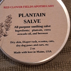 Organic Plantain Salve: Herbal Infused Oil for Itchy Skin - 2 oz
