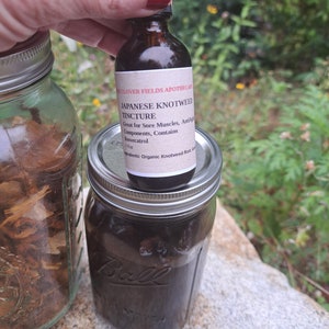 2 fl oz Japanese knotweed Tincture, herbal extract,  herbal tincture, tinctures, extracts, herbal tea