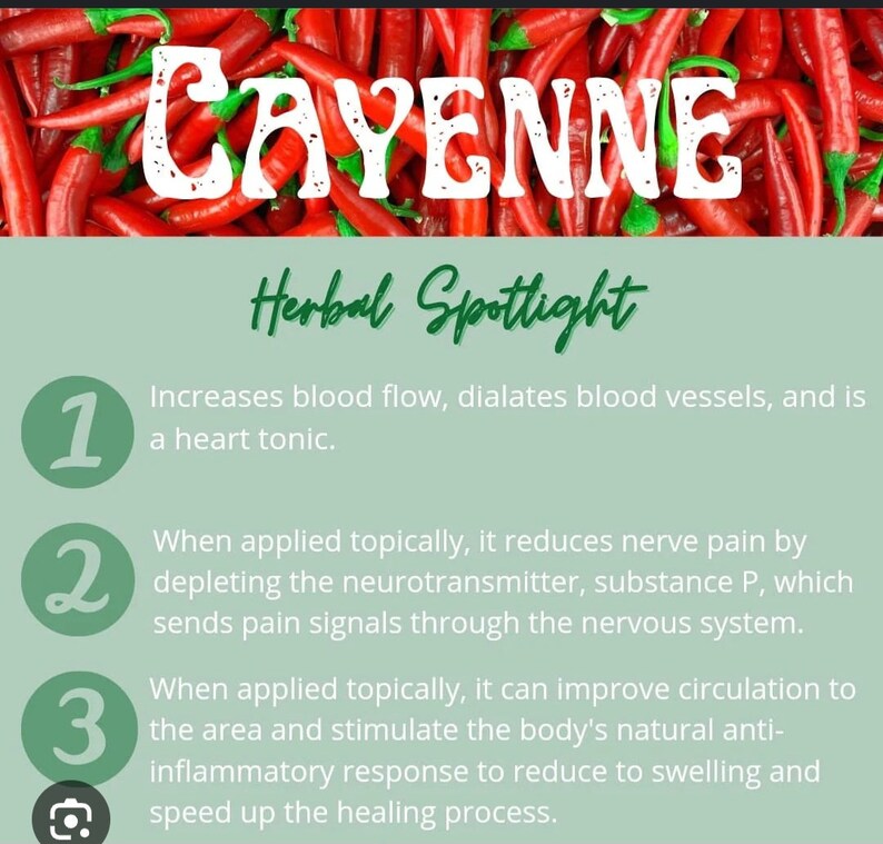 2 Oz Cayenne Pepper Herbal Salve, Icy Hot Salve, Cayenne, Ginger