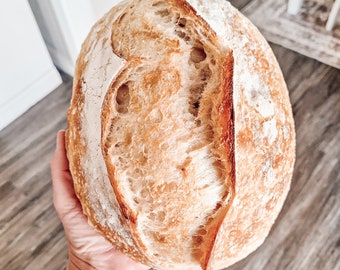 Original Sourdough Boule-Recipe