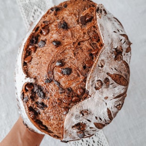 Chocolate Chip Sourdough Boule-Recipe
