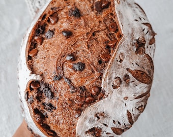 Chocolate Chip Sourdough Boule-Recipe