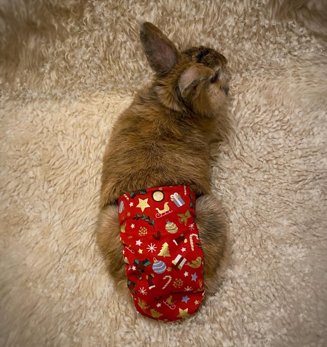 Handmade Rabbit Diaper: Washable, Absorbent, Cotton Bunny Nappy - Etsy