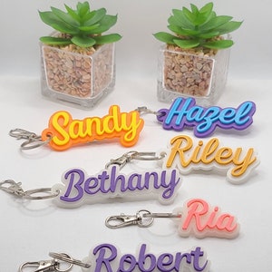 May include: A collection of personalized name keychains in various colors, including orange, blue, purple, and pink. Each keychain features a different name in a stylish script font, attached to a silver-colored clasp. Two small potted succulents are in the background.