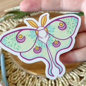 Cute Luna Moth Sticker - 3in - Waterproof/Weatherproof/Phone Case/Laptop/Notebook Cover Decor