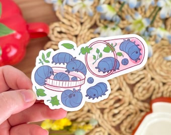 Pill Bug Pill Bottle Sticker - 3 in - Waterproof/Weatherproof/Phone Case/Laptop/Notebook Cover Decor