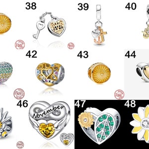 NIEUWE 925 Sterling Zilver Gouden Charme Kroon Familie Boom Veiligheidsketen Holle Kralen Fit Originele charms Armbanden Vrouwen Sieraden, DIY geschenken afbeelding 8