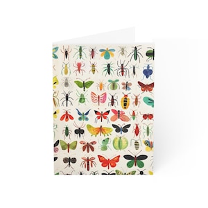 Biglietti d'auguri con illustrazioni di insetti per tutte le occasioni, articoli di cancelleria a tema insetti, regali per gli amanti della natura, set di biglietti ecologici, perfetti per [...]