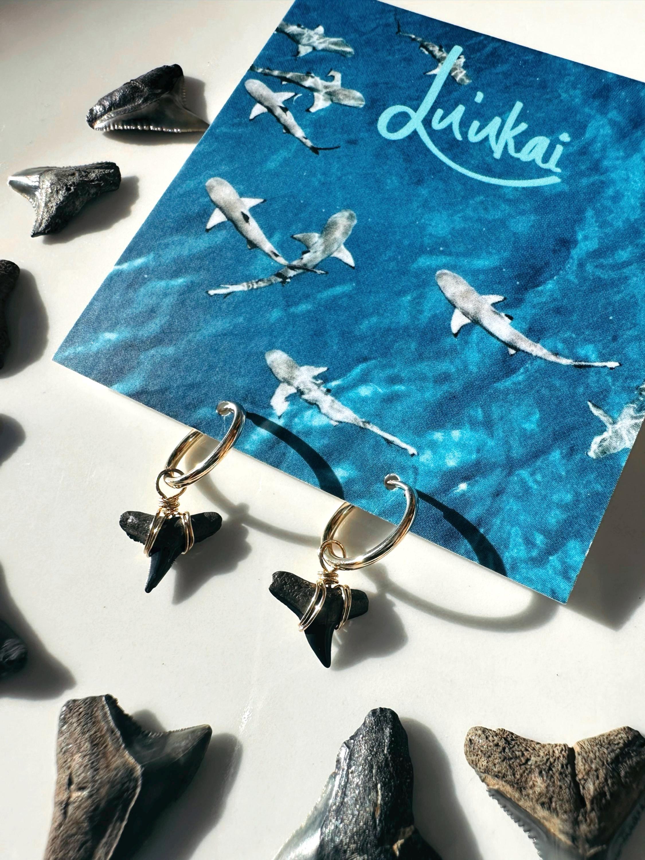 BTSシュガ着用★関税込★PORTRAIT REPORT★Shark Tooth Earring Baby Shark Tooth Stud Earrings – J&CO Jewellery