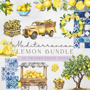 Clipart citron méditerranéen | Papier pour scrapbooking | Clipart été | Lot de cliparts aquarelles méditerranéennes | Clipart citronnier | Couronne de citron