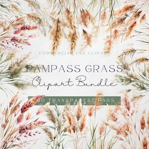 Grama Pampass Clipart| Arte de clipe floral | Png Transparente | Florais Boho | Gramíneas Boho | Uso Comercial