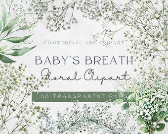 Baby Breath Floral Clipart | Floral Clipart | Wedding Invitation Clipart | Instant Download| Baby's Breath Clipart | White Gypsophila Flower