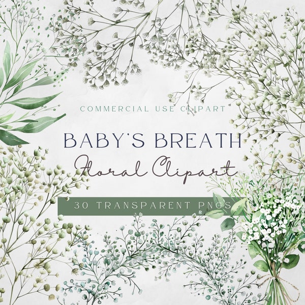 Baby Breath Floral Clipart | Floral Clipart | Wedding Invitation Clipart | Instant Download| Baby's Breath Clipart | White Gypsophila Flower