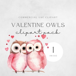 Aquarelle mignon hibou de la Saint-Valentin Clipart | Hiboux à l'aquarelle | Lot hibou de la Saint-Valentin | Animal des bois | Clipart hibou | Clipart Saint Valentin