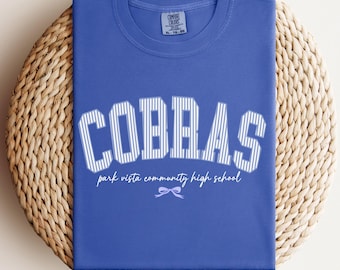 Custom School Name Shirt Coquette Comfort Colors Back to School Spirit Wear Assistant Principal Shirt Teacher Team Shirt Personalized School