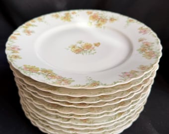 Haviland France Limoges Dinner Plates 9.75” Floral Scalloped Rim Set of 11 Vtg
