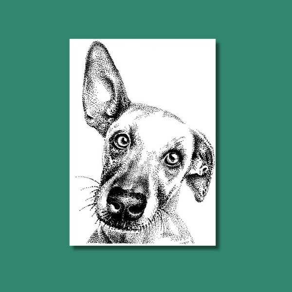 Postcard dog art card invitation, birthday card hand-drawn animal card in black and white motif in A6 print illustration