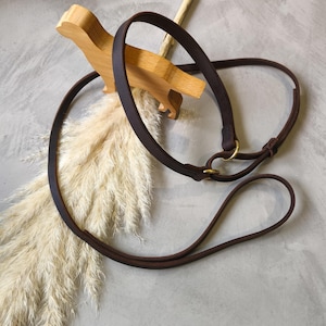 Op de afbeelding: Een donkerbruine leren hondenriem met een messing ring en bijpassende halsband. Een houten hondenfiguur en gedroogd siergras zijn ook in de afbeelding te zien. De riem is gelust en van hoogwaardig leer.