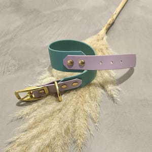 Two-tone Biothane collar, adjustable collar, collar with buckle, waterproof Biothane collar, dog collar