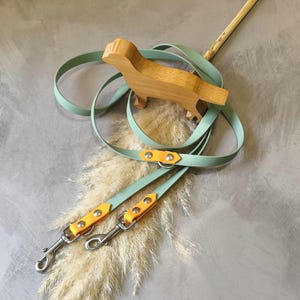 Two-tone Biothane dog leash, adjustable leash, shoulder leash, leash with hand loop, waterproof leash, puppy leash, Biothane leash