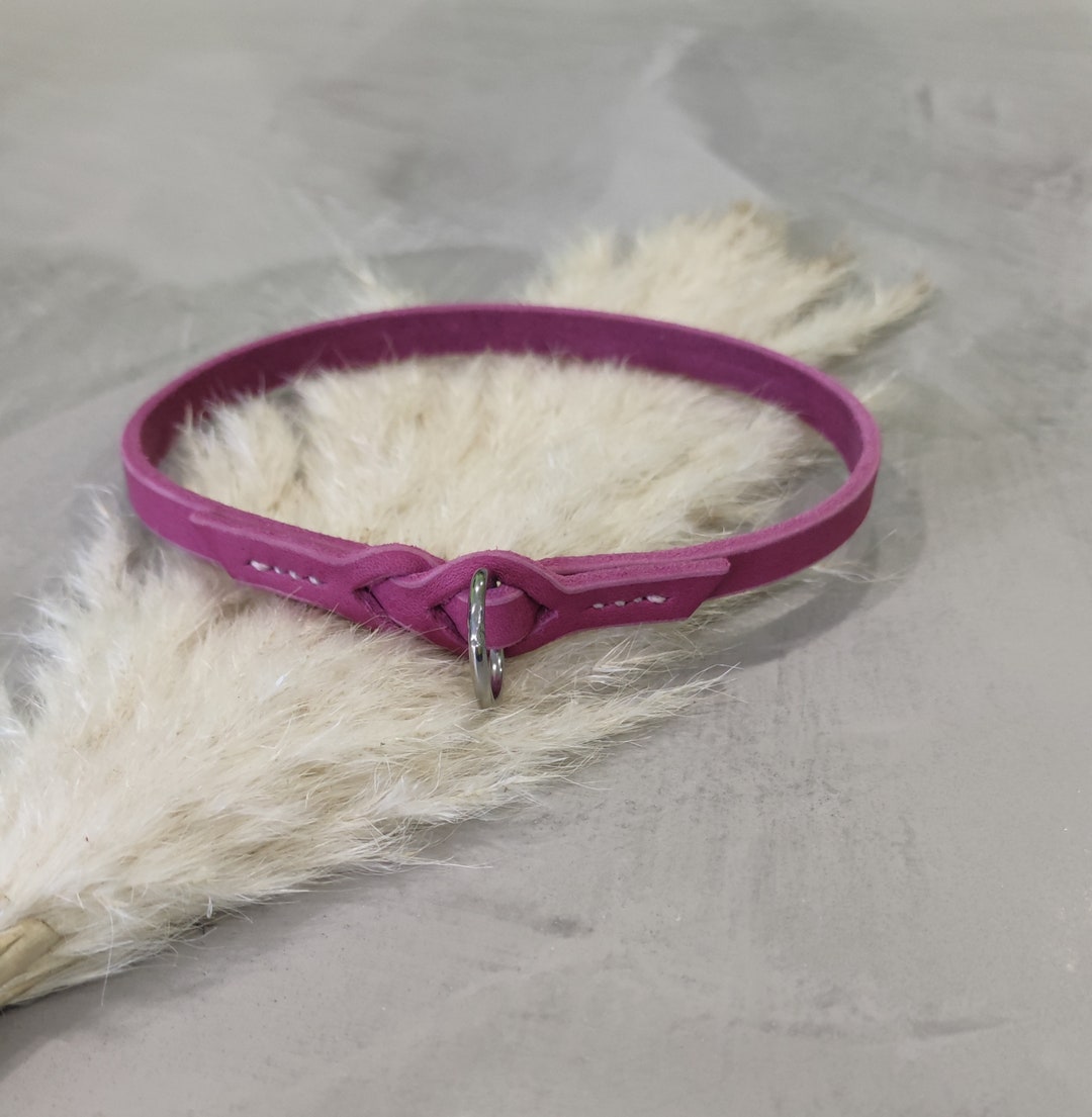 Branded Leather Collar, Branded Band, Decorative Leather Collar ...