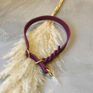 Könnte beinhalten: Ein tiefvioletter Hundehalsband mit goldfarbener Hardware. Das Halsband besteht aus einem glatten Material und hat ein geflochtenes Detail an der Seite. Das Halsband liegt auf einem Bett aus trockenem, flauschigem beigem Gras.