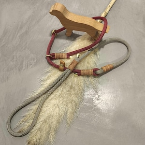 Zweifarbige Moxonleine aus Tau, Retrieverleine, Tauleine, Hundeleine, Tau meets Leder