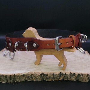 Pode incluir: Uma coleira de cão de couro castanho com múltiplos anéis em D prateados e uma fivela prateada. A coleira é exibida em uma figura de cão de madeira.