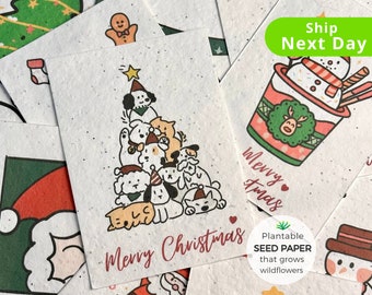 Plantable Christmas Seed Paper Cards Pack of 10, Eco-friendly Seed ...
