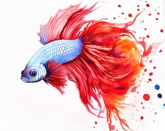 Siamese Fighter Fish Art Print - Watercolour Betta Fish Painting - Aquarium Fish Print - Print or Canvas - Tropical Fighter Fish Decor