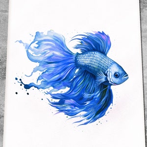Betta Fish Art Print - Watercolour Siamese Fighting Fish Painting - Tropical Fighter Fish Decor - Aquarium Fish Print - Print or Canvas